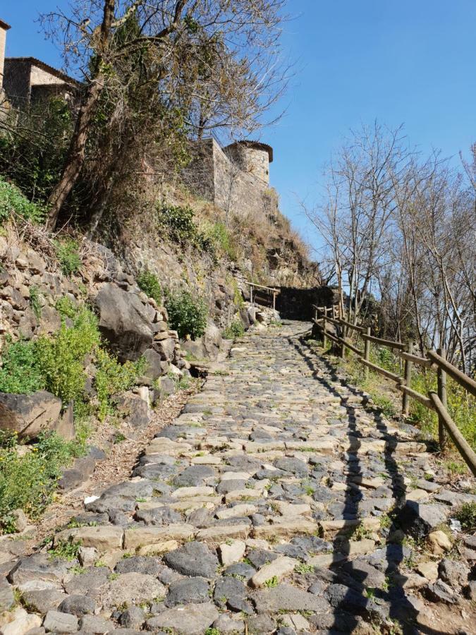 Appartamento Ca La Rita Castellfollit de la Roca Esterno foto