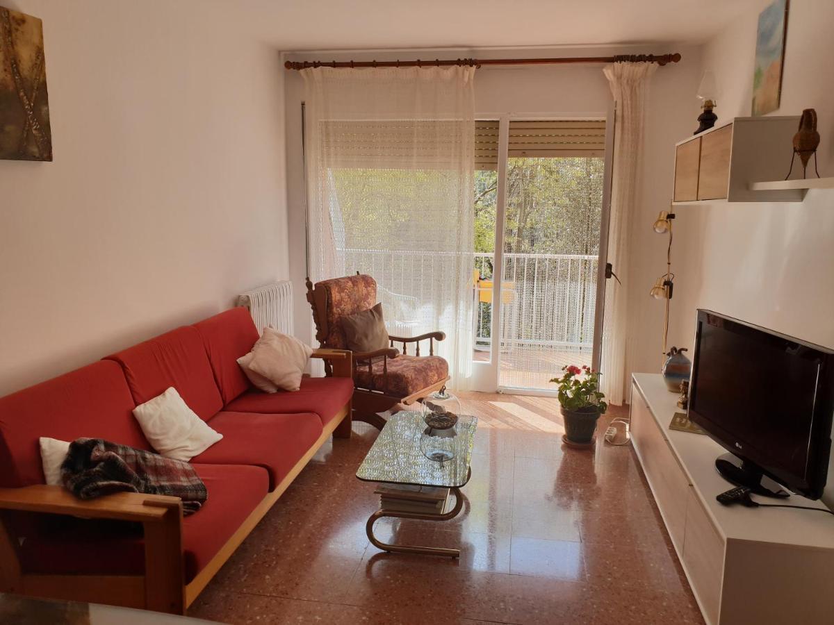 Appartamento Ca La Rita Castellfollit de la Roca Esterno foto